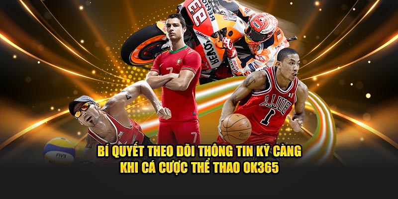 Bí quyết theo dõi thông tin kỹ càng khi cá cược thể thao OK365