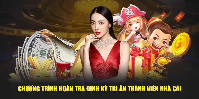 Chương trình hoàn trả định kỳ tri ân thành viên nhà cái